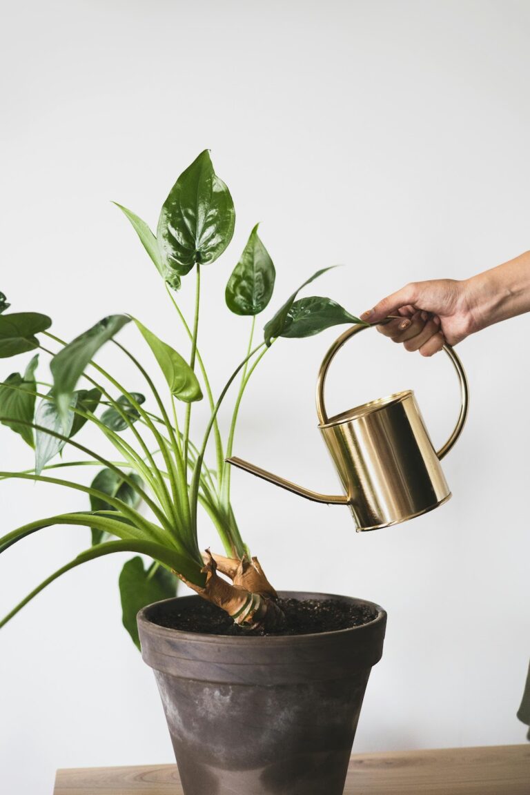 A hand watering an indoor plant with a gold watering can, therapyworthwhile.