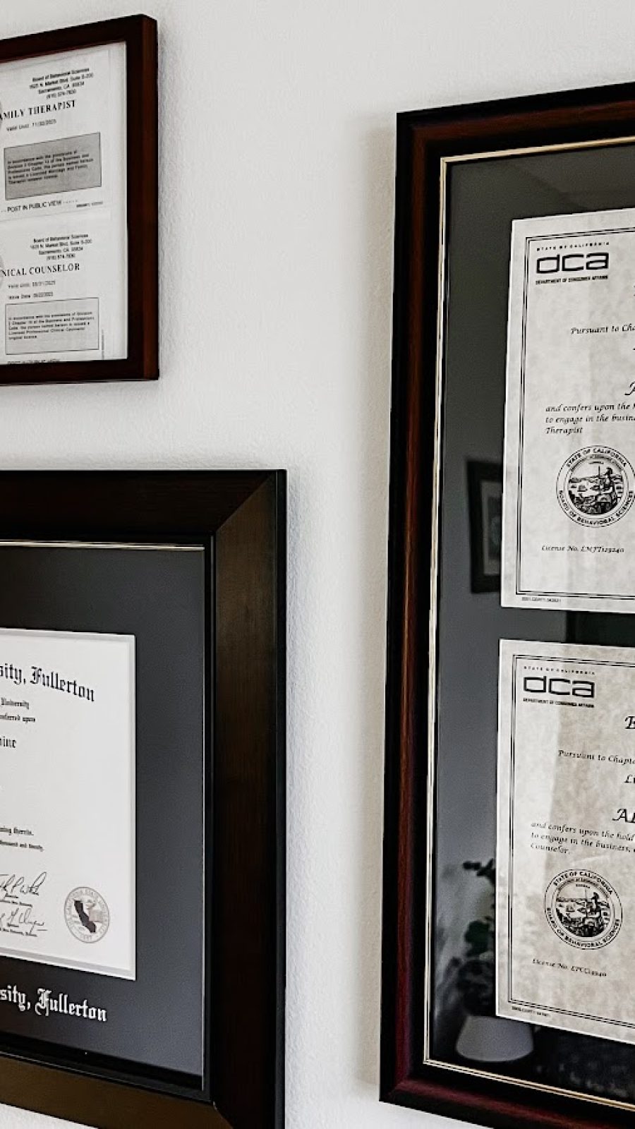 Framed certificates and diplomas hung on a wall, therapyworthwhile
